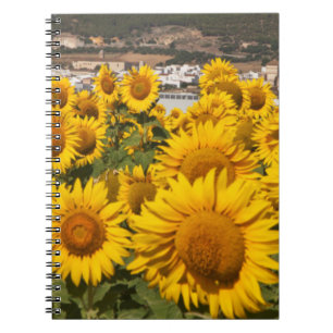 Cuaderno Europa, España, Andalucía, Provincia de Cádiz