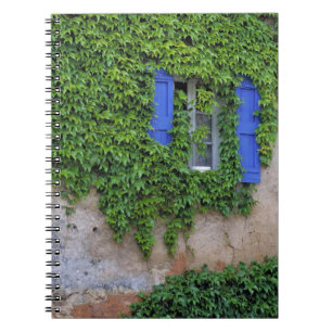 Cuaderno Europa, Francia, Lourmarin. Hiedra en cascada