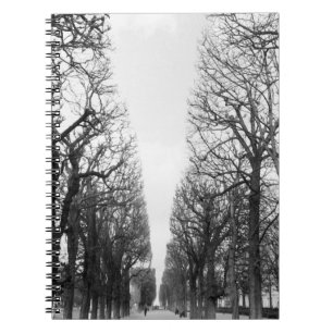 Cuaderno Europa, Francia, París. Árboles de invierno, Marco