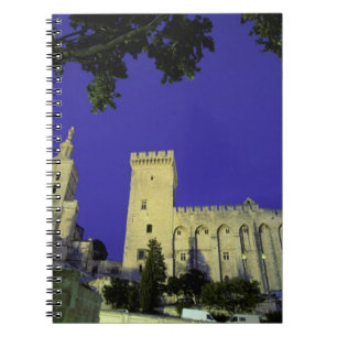 Cuaderno Europa, Francia, Provenza, Aviñón. Palacio de los