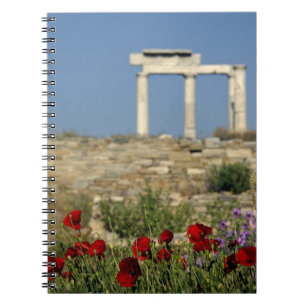 Cuaderno Europa, Grecia, Cícladas, Delos. Ruinas de columna