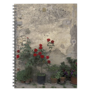 Cuaderno Europa, Italia, Toscana, Chianti, puerta toscana;