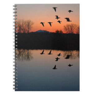 Cuaderno Evening Geese