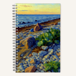 Cuaderno Evening light on the coast of Vormsi