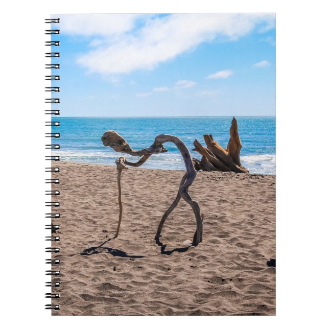 Cuaderno Evolución (Frente)