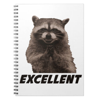 Cuaderno Excelente Raccoon