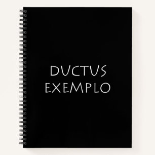Cuaderno Exemplo de Ductus