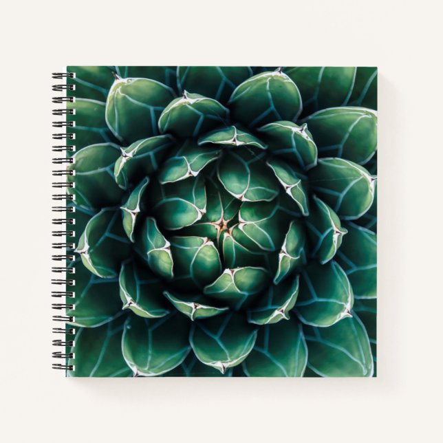 Cuaderno Éxito verde y blanco (Anverso)