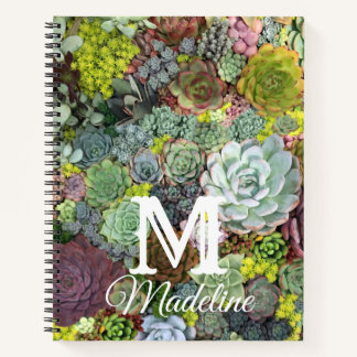 Cuaderno Éxitos verdes