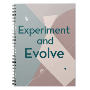 Cuaderno Experimentar y Evolucionar