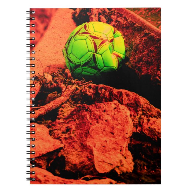 Cuaderno explorador de mosquito (Frente)