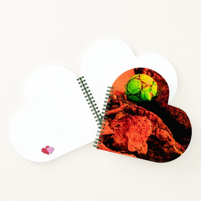 Cuaderno explorador de mosquitos (Interior)