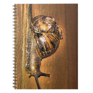 Cuaderno Explorador de tierra - Macro de caracol en la cort