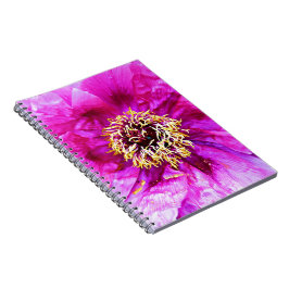 Cuaderno Explosión rosa