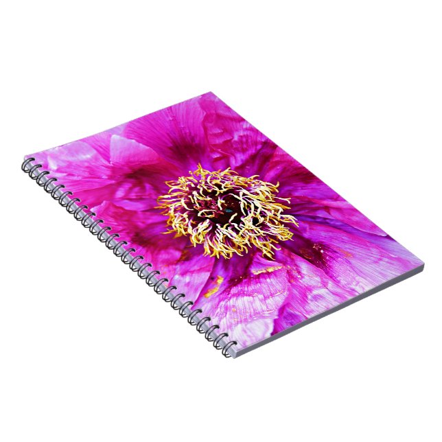 Cuaderno Explosión rosa (Lado Derecho)