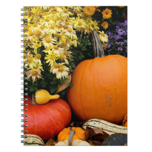 Cuaderno Exposición colorida de calabaza decorativa de otoñ