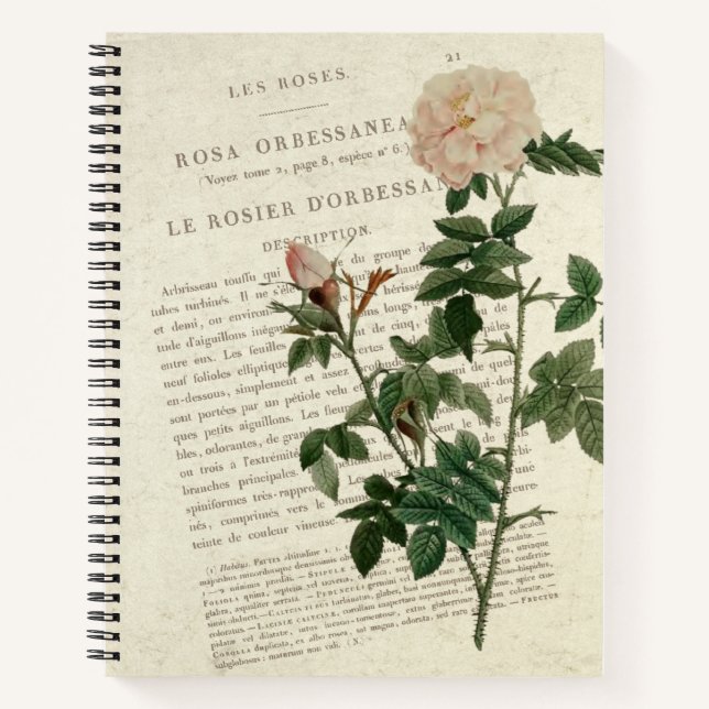 Cuaderno Exquisito Rosa Orbessanea Vintage (Anverso)