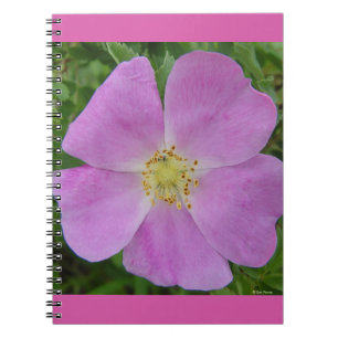 Cuaderno F11 Rosa silvestre "Rosa arkansana"
