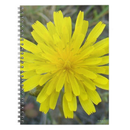 Cuaderno F16 Flor Amarilla Rey Diablo