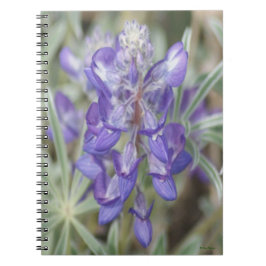 Cuaderno F18 Flores salvajes púrpura Lupina anual