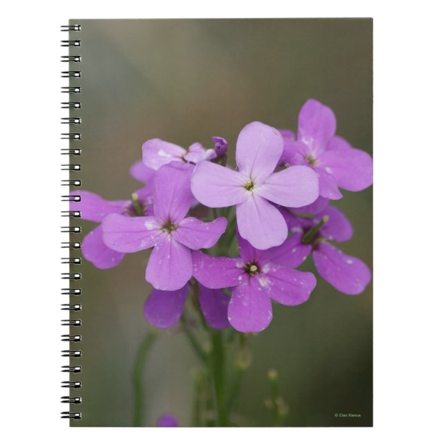 Cuaderno F19 Púrpura Flores Silvestres Támesis (Frente)
