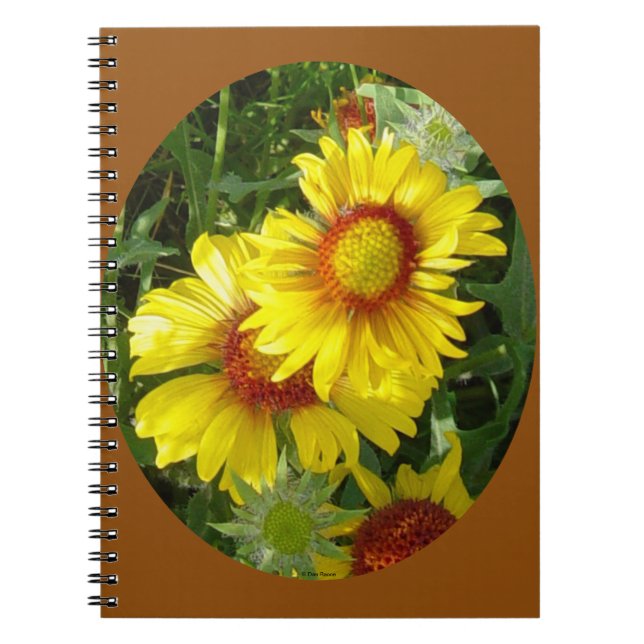 Cuaderno F27 Flores silvestres amarillas Gaillardia (Frente)