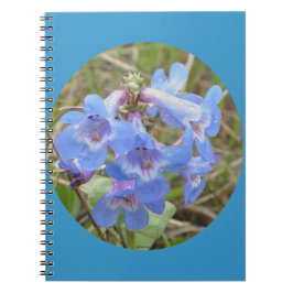 Cuaderno F28 Flores silvestres azules Lenguaje morado azul