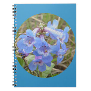 Cuaderno F28 Flores silvestres azules Lenguaje morado azul