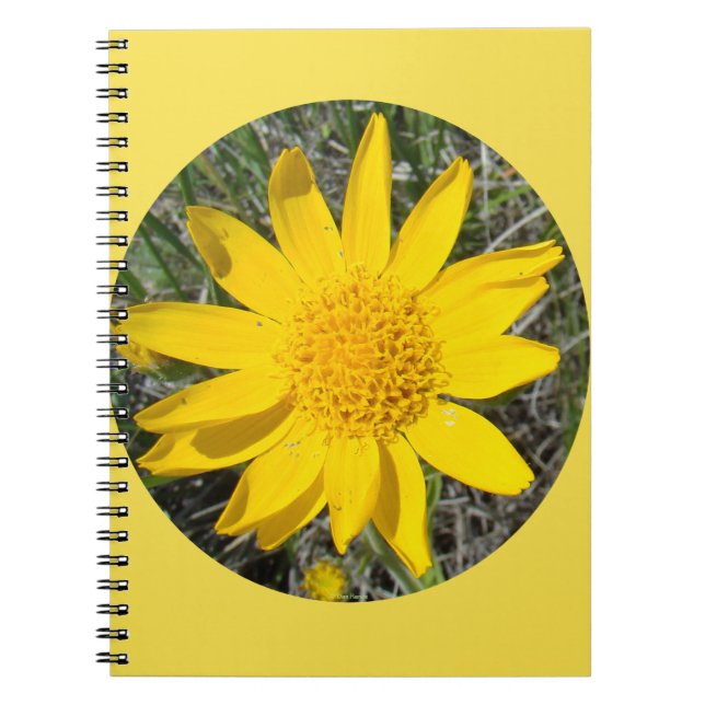 Cuaderno F36wma Flores silvestres amarillas Sneezeweed (Frente)