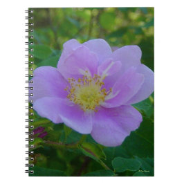 Cuaderno F37 Rosa silvestre