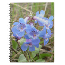 F3 Flores salvajes azules Slender lengua azul