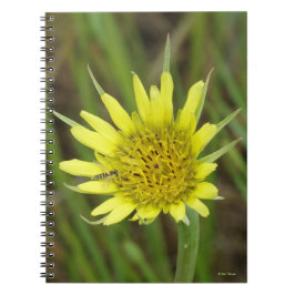 Cuaderno F41 Yellow Wildflower Goats Beard