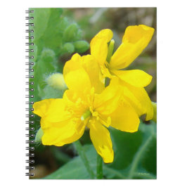 Cuaderno F44 Flor silvestre amarilla Mostaza silvestre