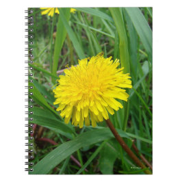 Cuaderno F45 Dandelion