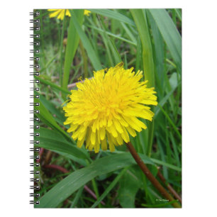 Cuaderno F45 Diente de León