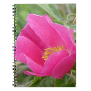 Cuaderno F7 Rosa Silvestre Flor Brillante Rosa