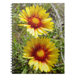 Cuaderno F8 Flores silvestres amarillas Gaillardia