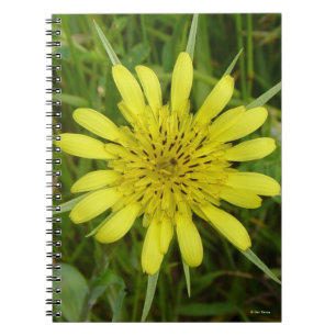 Cuaderno F9 Flor silvestre amarilla Cabra barba Tragopogon 
