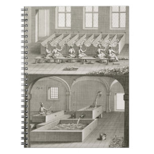 Cuaderno Fabricación de papel, 'de las ciencias del DES de
