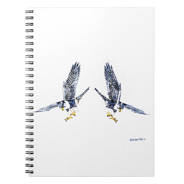Cuaderno Falcones peregrinos (Frente)