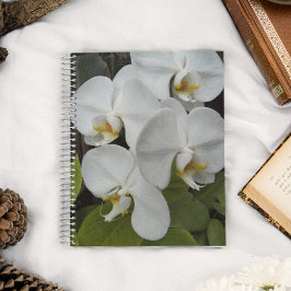 Cuaderno Falenopsis blanca Orquídea Floral
