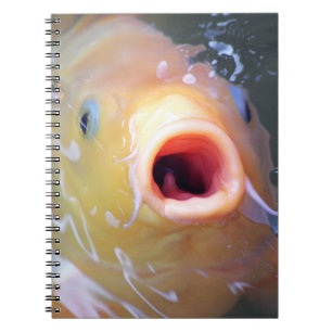 Cuaderno Falln Singing Ghost Koi