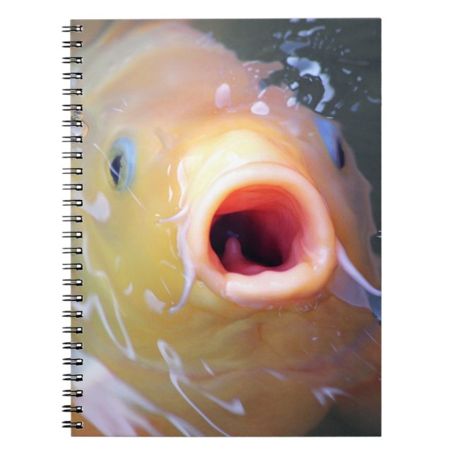 Cuaderno Falln Singing Ghost Koi (Frente)