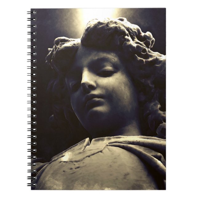 Cuaderno Faln Gabriel Descending (Frente)