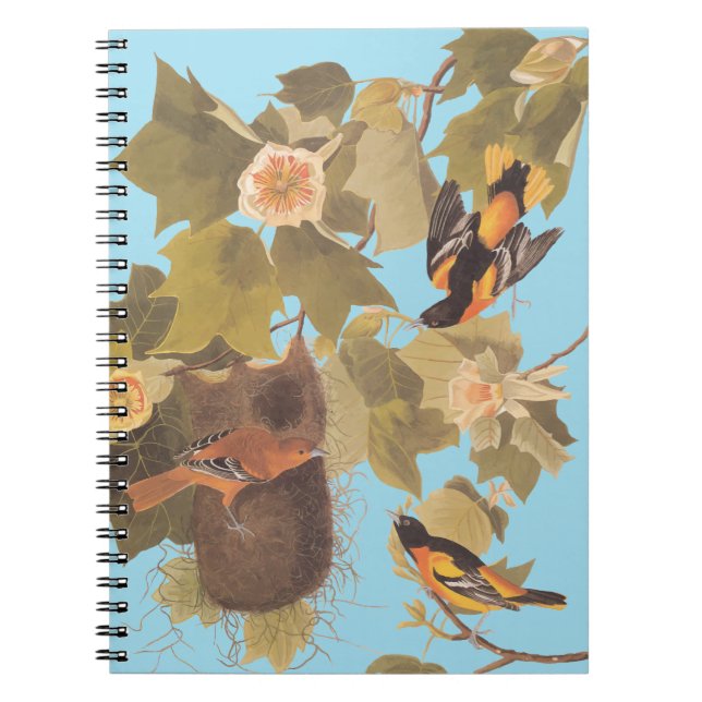 Cuaderno Familia Baltimore Oriole Audubon con nido (Frente)