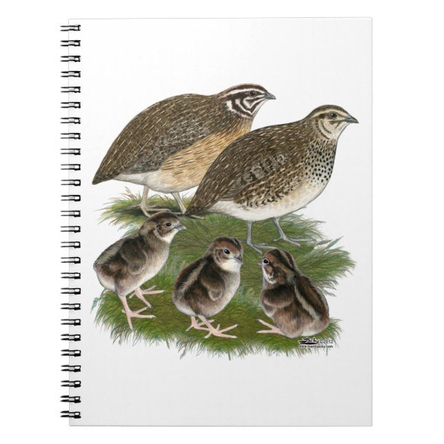 Cuaderno Familia de codornices Coturnix (Frente)