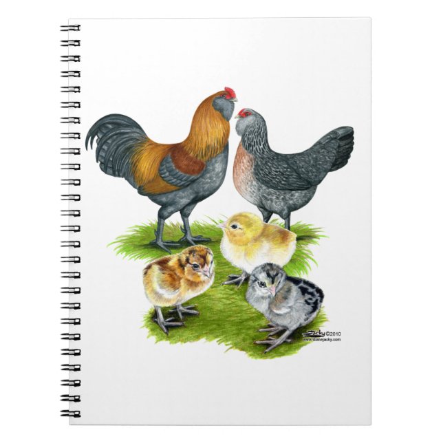 Cuaderno Familia de Gallinas Ameraucanas (Frente)