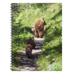 Cuaderno Familia de osos pardos