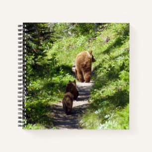 Cuaderno Familia de osos pardos