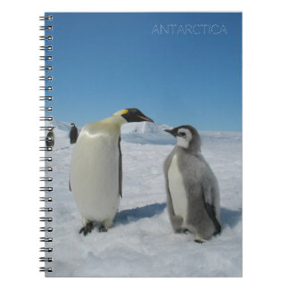 Cuaderno familia de pingüinos
